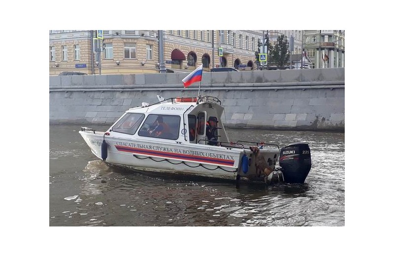 Московские спасатели выезжали более трехсот раз на помощь животным