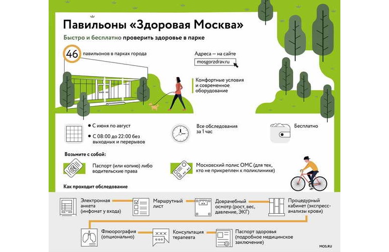 Диспансеризация в парке: почти 35 тысяч человек проверили здоровье в павильонах «Здоровая Москва»