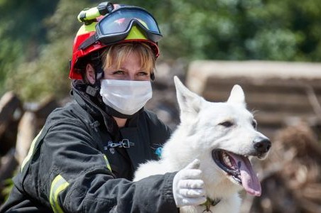 Собаки и их кинологи: как работают четвероногие спасатели